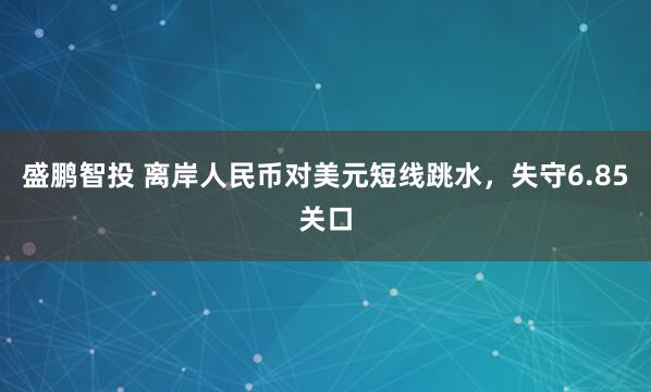 盛鹏智投 离岸人民币对美元短线跳水，失守6.85关口