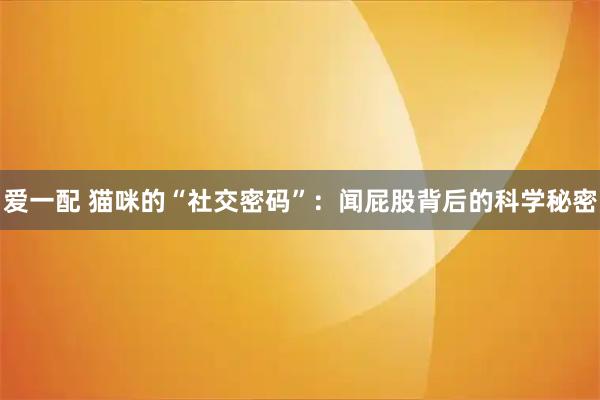 爱一配 猫咪的“社交密码”：闻屁股背后的科学秘密