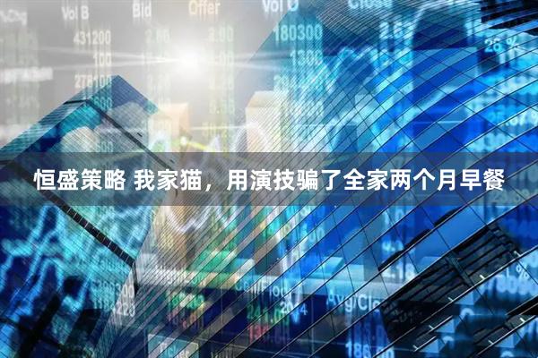 恒盛策略 我家猫，用演技骗了全家两个月早餐