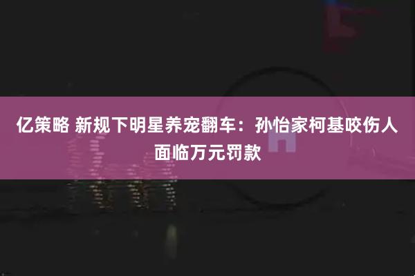 亿策略 新规下明星养宠翻车：孙怡家柯基咬伤人面临万元罚款