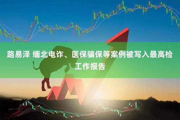 路易泽 缅北电诈、医保骗保等案例被写入最高检工作报告