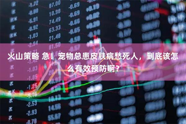 火山策略 急！宠物总患皮肤病愁死人，到底该怎么有效预防啊？