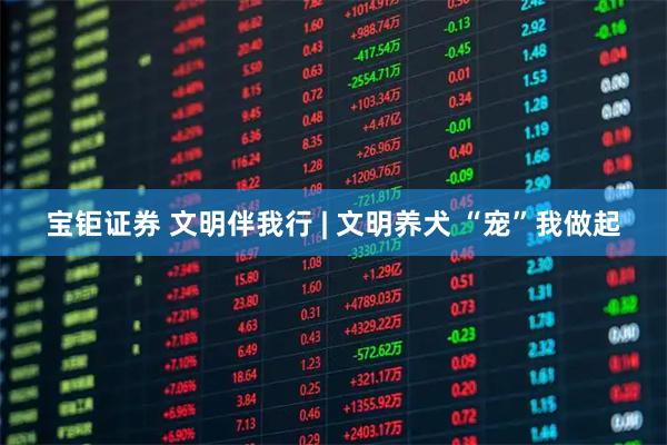 宝钜证券 文明伴我行 | 文明养犬 “宠”我做起