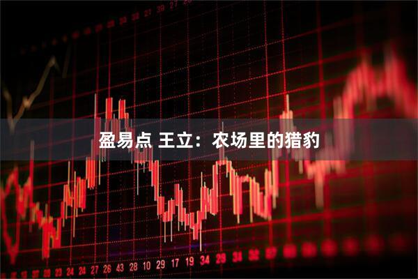 盈易点 王立：农场里的猎豹