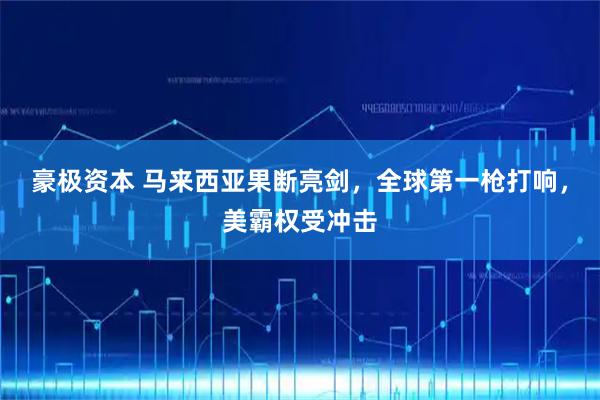 豪极资本 马来西亚果断亮剑，全球第一枪打响，美霸权受冲击