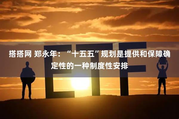 搭搭网 郑永年：“十五五”规划是提供和保障确定性的一种制度性安排