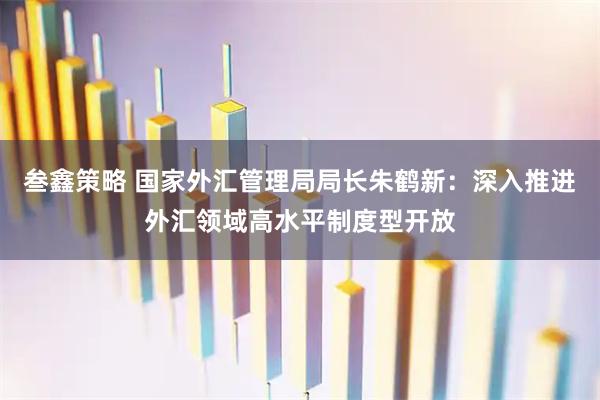 叁鑫策略 国家外汇管理局局长朱鹤新：深入推进外汇领域高水平制度型开放