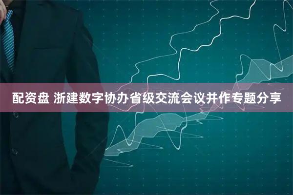 配资盘 浙建数字协办省级交流会议并作专题分享