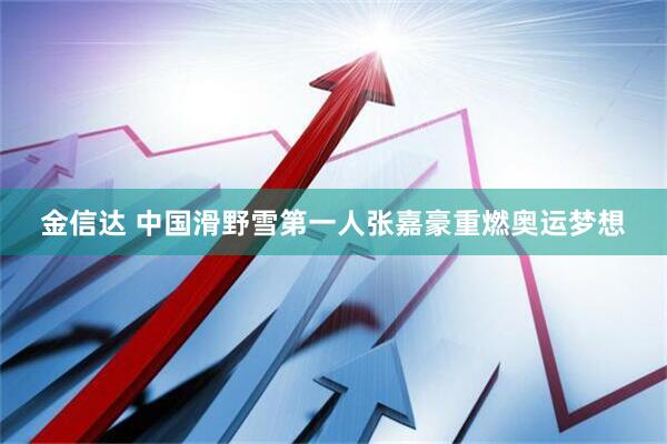 金信达 中国滑野雪第一人张嘉豪重燃奥运梦想