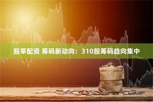 股莘配资 筹码新动向：310股筹码趋向集中