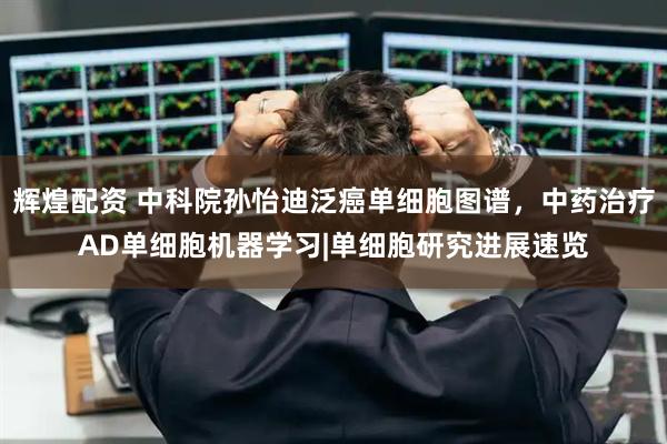 辉煌配资 中科院孙怡迪泛癌单细胞图谱，中药治疗AD单细胞机器学习|单细胞研究进展速览