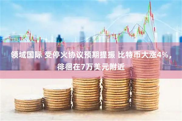 领域国际 受停火协议预期提振 比特币大涨4%,徘徊在7万美元附近