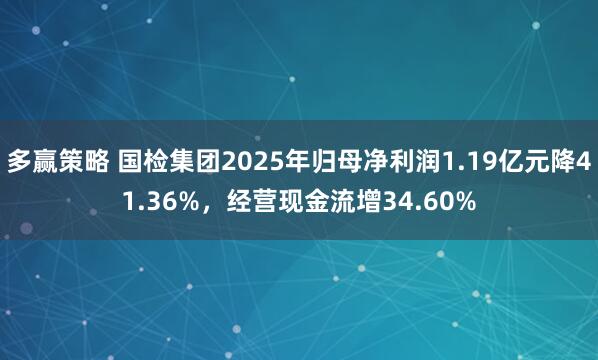 多赢策略 国检集团2025年归母净利润1.19亿元降41.36%，经营现金流增34.60%