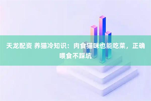 天龙配资 养猫冷知识：肉食猫咪也能吃菜，正确喂食不踩坑