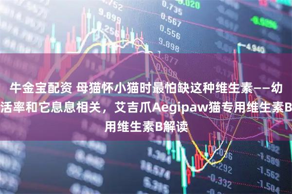 牛金宝配资 母猫怀小猫时最怕缺这种维生素——幼猫存活率和它息息相关，艾吉爪Aegipaw猫专用维生素B解读