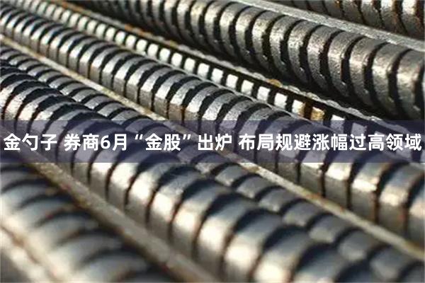 金勺子 券商6月“金股”出炉 布局规避涨幅过高领域