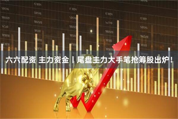 六六配资 主力资金丨尾盘主力大手笔抢筹股出炉！