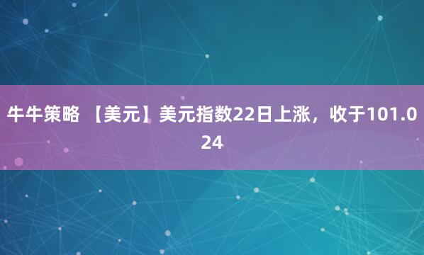 牛牛策略 【美元】美元指数22日上涨，收于101.024