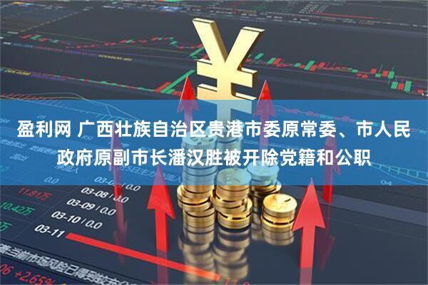盈利网 广西壮族自治区贵港市委原常委、市人民政府原副市长潘汉胜被开除党籍和公职