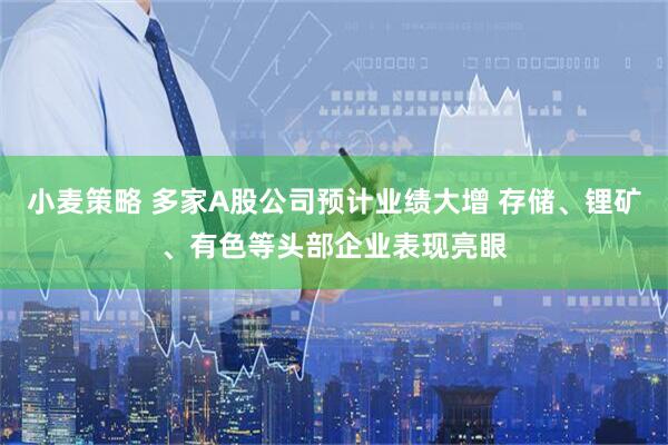 小麦策略 多家A股公司预计业绩大增 存储、锂矿、有色等头部企业表现亮眼